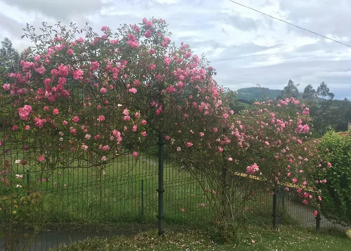 Acogedora Casa En Asturias