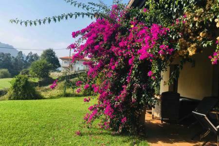 Holiday home Acogedora Casa En Asturias *