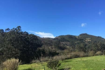 Acogedora Casa En Asturias Holiday home